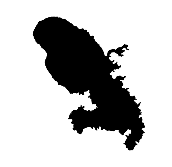 Formation informatique à distance en Martinique