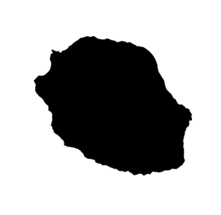 Formation informatique à distance à la Réunion